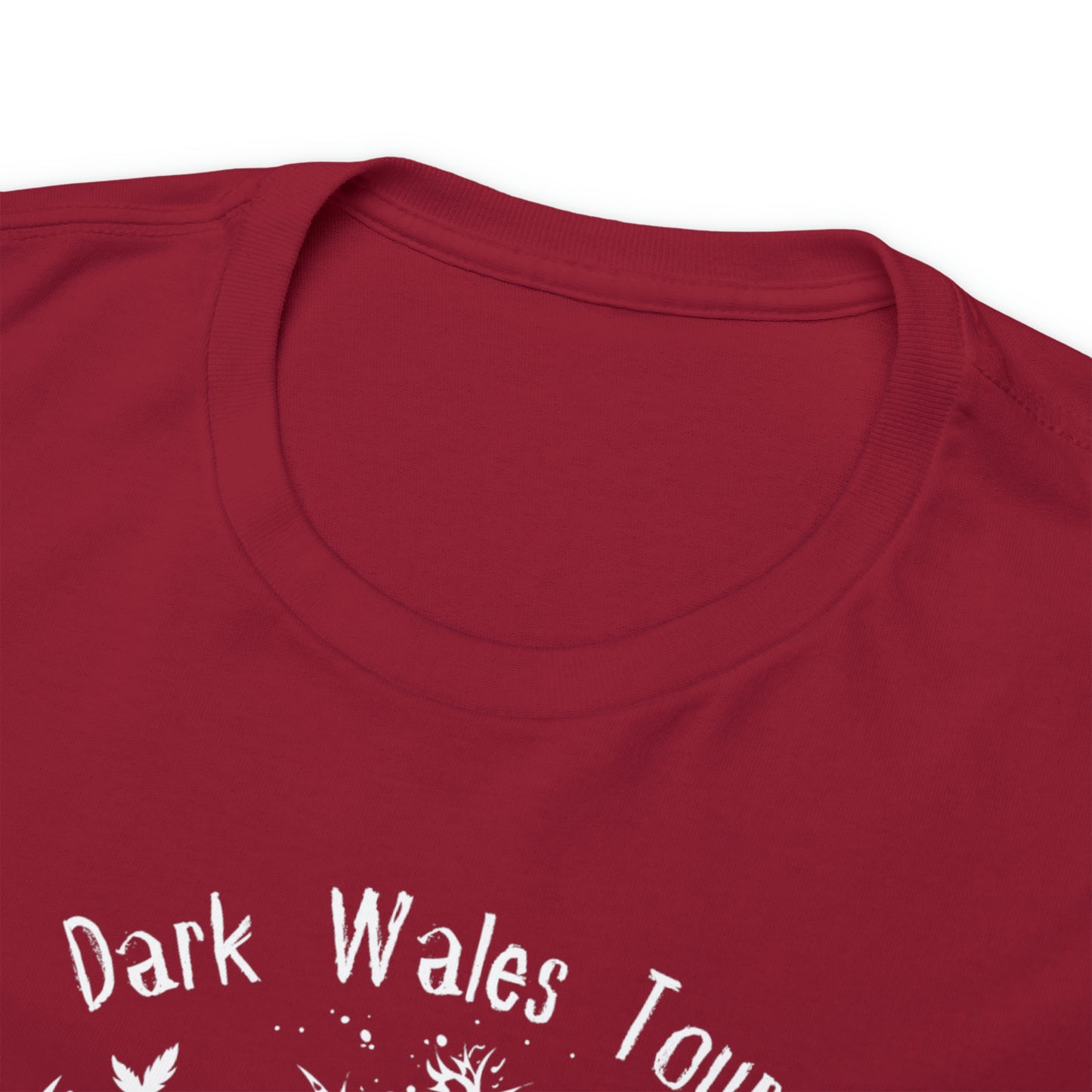 Dark Wales Tours Est. 2019 - White logo
